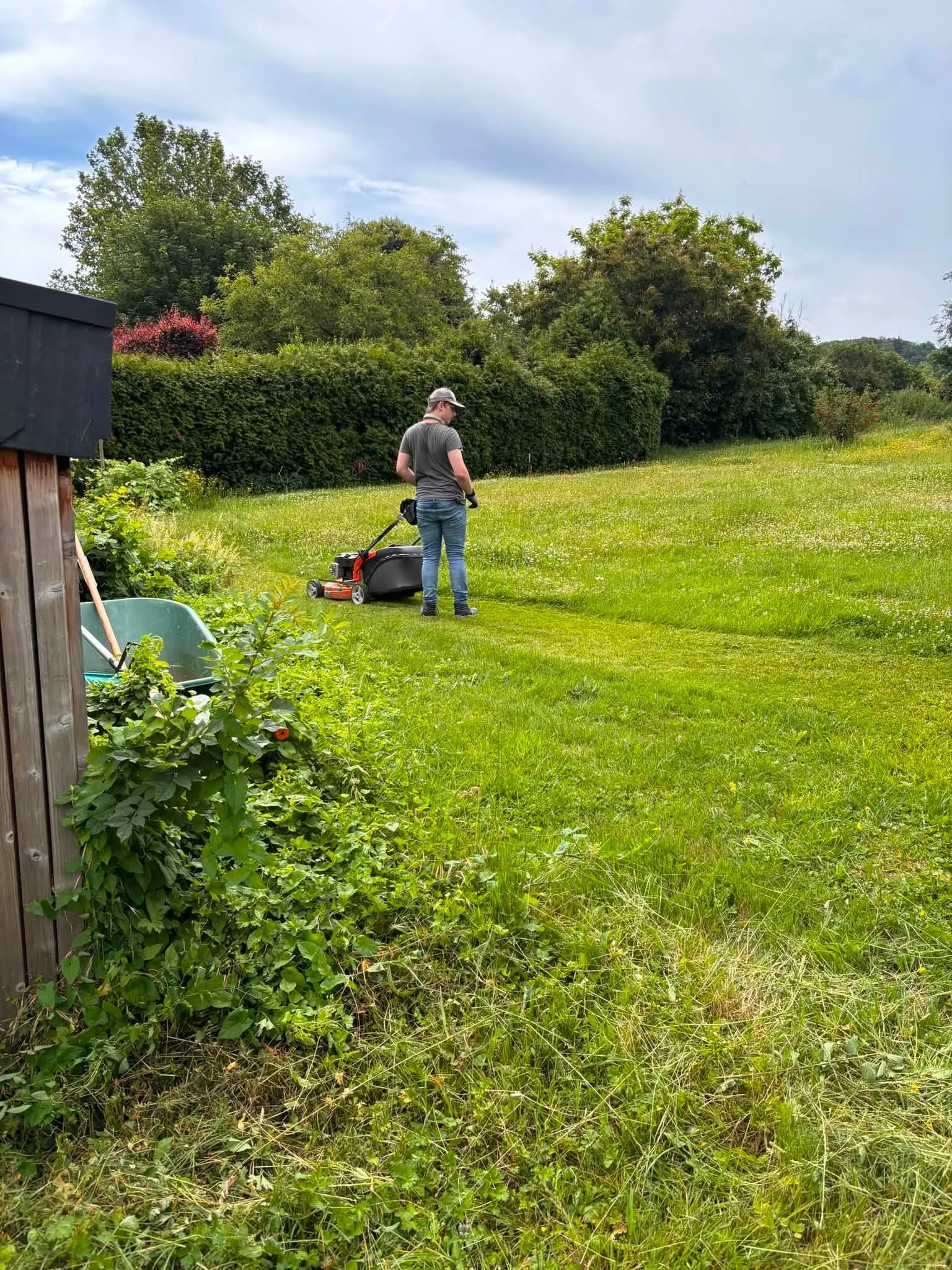 Aménagement paysager d'un jardin contemporain
