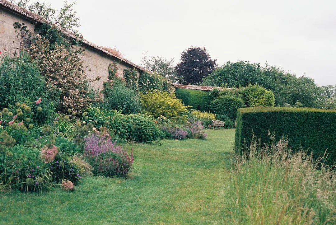 Aménagement jardin à Yvoir