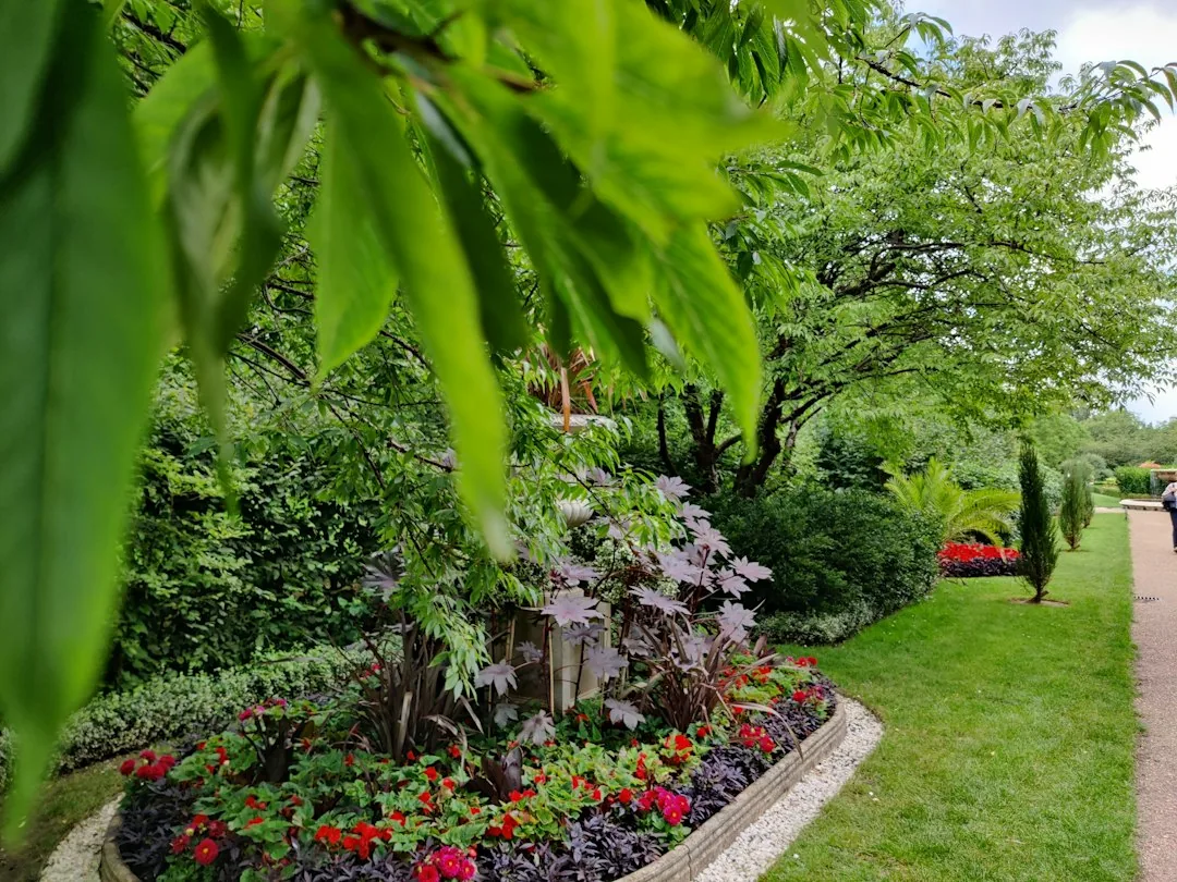 Aménagement jardin à Yvoir