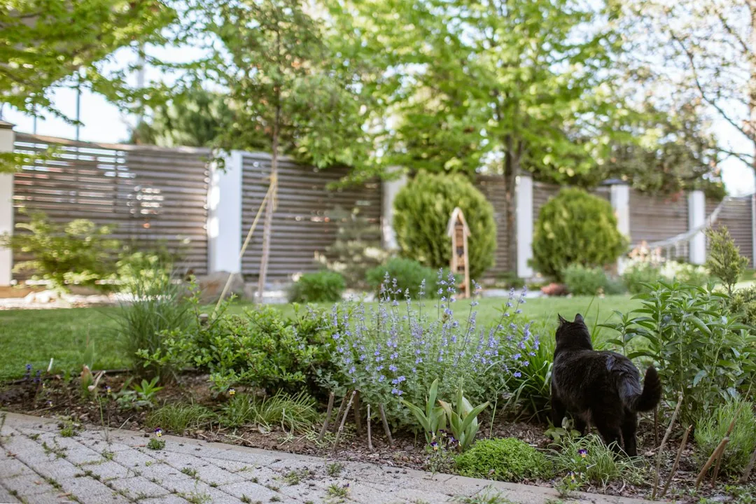 Aménagement extérieur & jardin en Andenne
